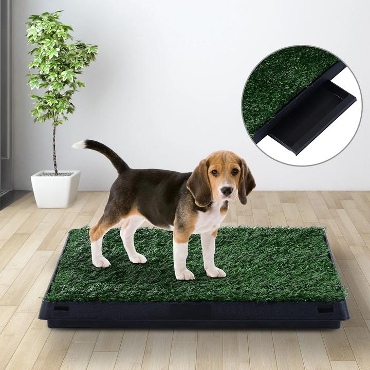 Actual product image Jamb Puppy toilet Dog toilet (Dog kennel)