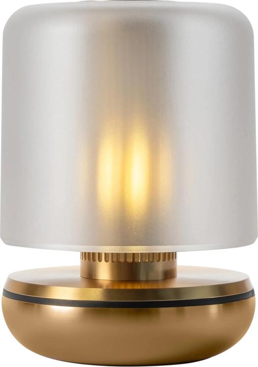 Actual product image Humble Firefly
