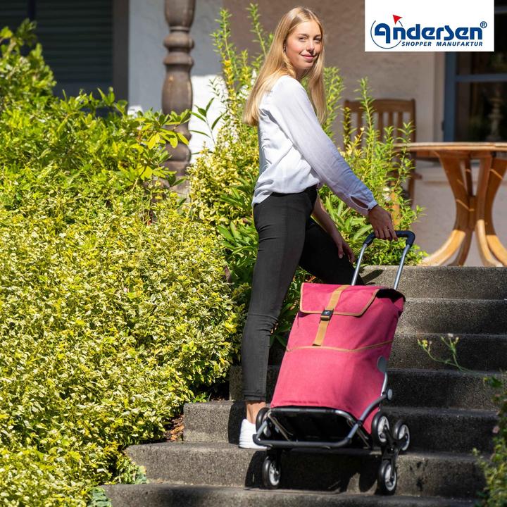 Produktbild Andersen Treppensteiger Royal Shopper Auke