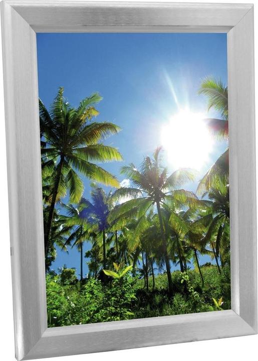 Europalms Reclamewand A2, verlicht, aluminium