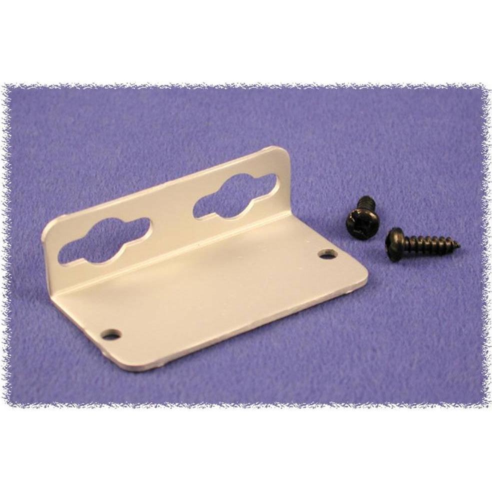 Hammond Wandmontagehalter für Gehäuse Serie 455 (Montagehalterung), Elektronikzubehör + Gehäuse, Sch