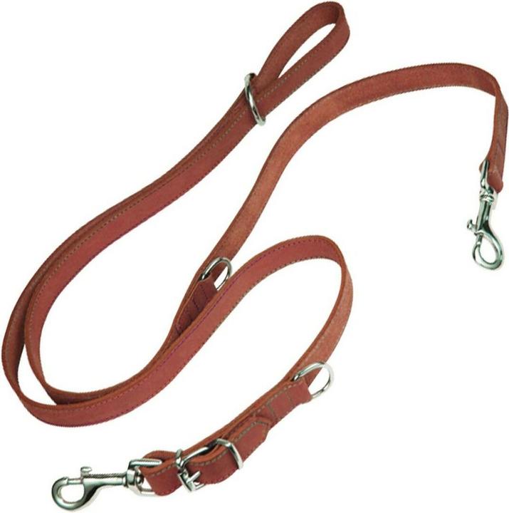 Gloria Hundeleine Oasis Mehrere 2.1 x 200 cm Rot (Chien, Promenade)