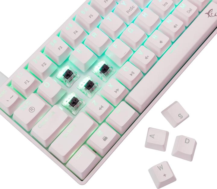 Actual product image White Shark GK-004231 Shinobi-2 Brown Switch, White US (US, Cable)