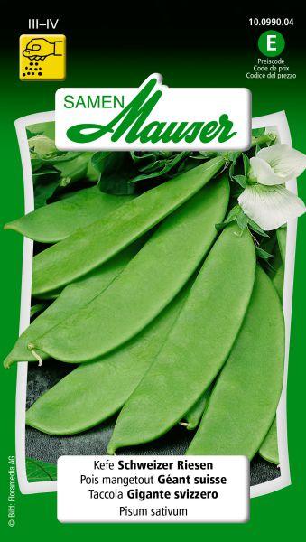 Produktbild Samen Mauser Kefen Schweizer Riesen (Gemüsesamen)