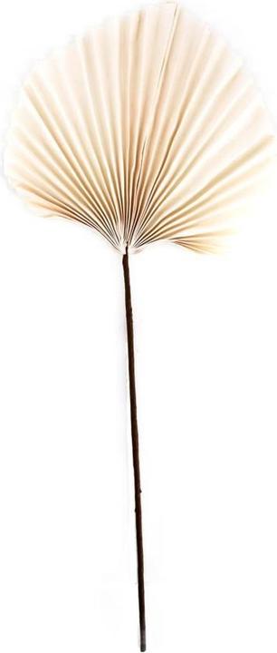 Image du produit Dijk Feuille de papier (Fleurs séchées, 1x)