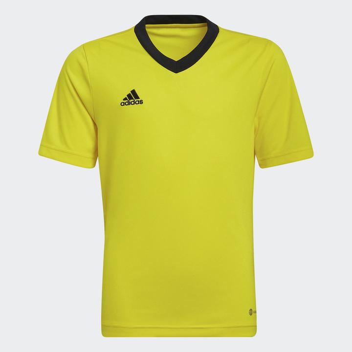 Produktbild adidas Entrada 22 Trikot (140)