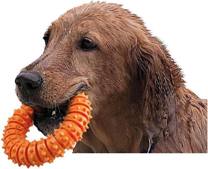 Immagine prodotto Karlie Ruffus Aqua Ring (Gioco da masticare per cani)