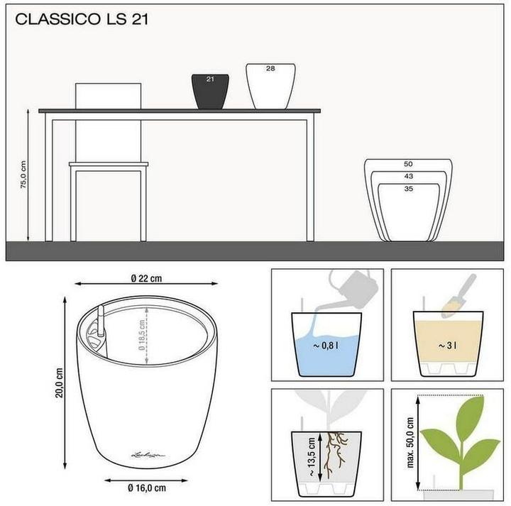 Produktbild Lechuza Classico Color (22 x 22 x 20 cm)