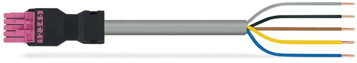 Actual product image Wago confect. Connection cable (2 m)