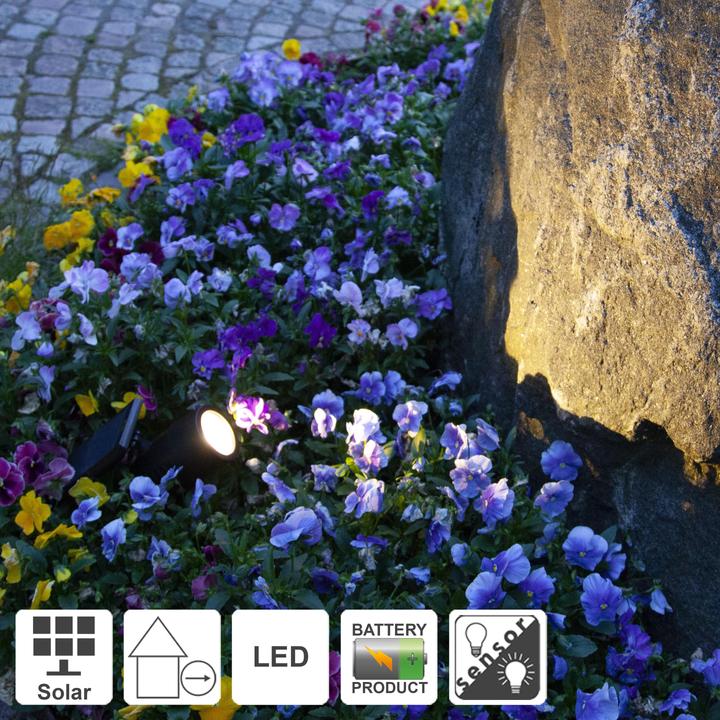 Actual product image Star Trading Solar Powerspot (50 lm, IP44)