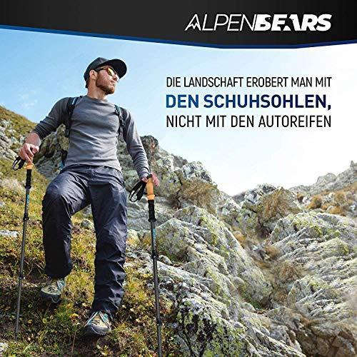 Image du produit Alpen Bears Bâtons de randonnée télescopiques (135 cm, 65 cm)