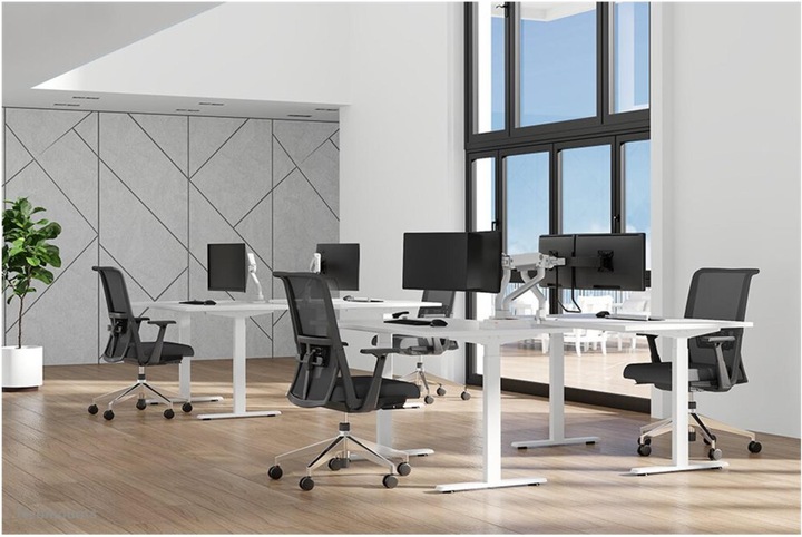 Actual product image Neomounts Select Desk Mount, double disp (Dining table, 27.01")