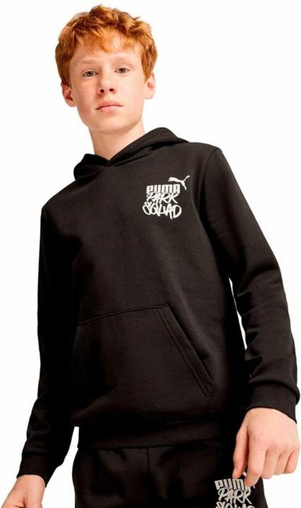 Image du produit Puma Sweat à capuche ESS+ MID 90s FL B (176)