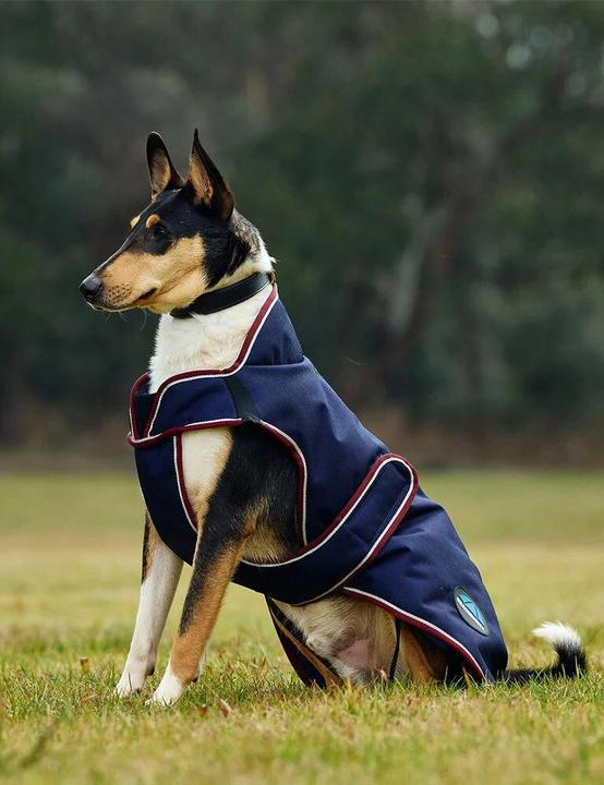 Actual product image Weatherbeeta Comfitec Premier Deluxe (75, Dog raincoat)