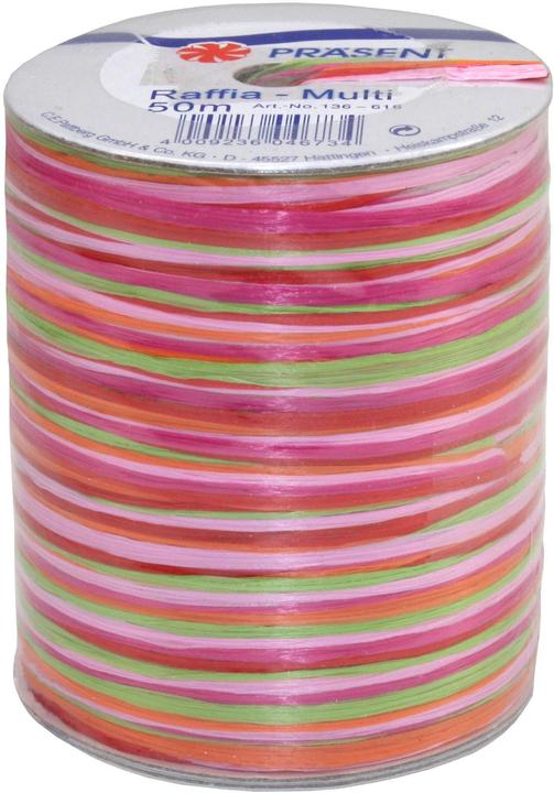 Produktbild Präsent Bast Multi (1x)
