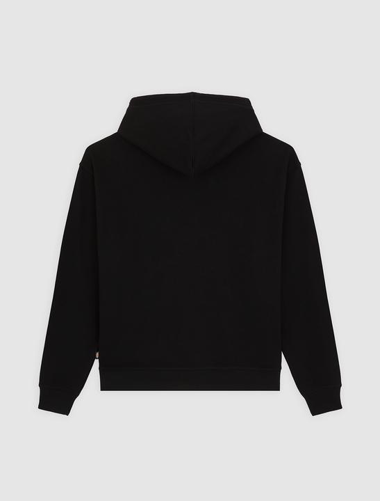Produktbild Dickies Irondale Hoodie (M)