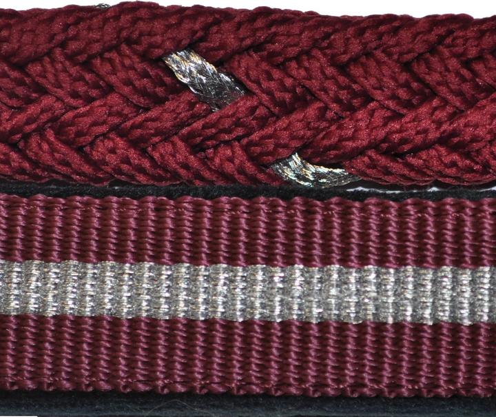 Immagine prodotto Canter Set cavezza + guinzaglio in lurex