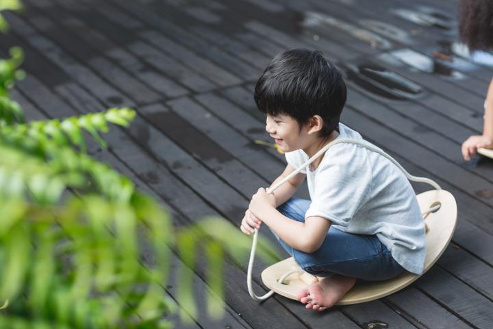 Actual product image Plantoys Balancing board