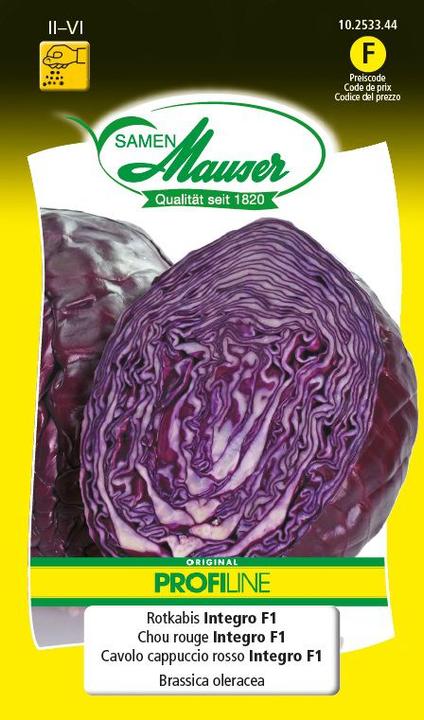 Actual product image Samen Mauser Red cabbage Integro F1 (Vegetable seeds)