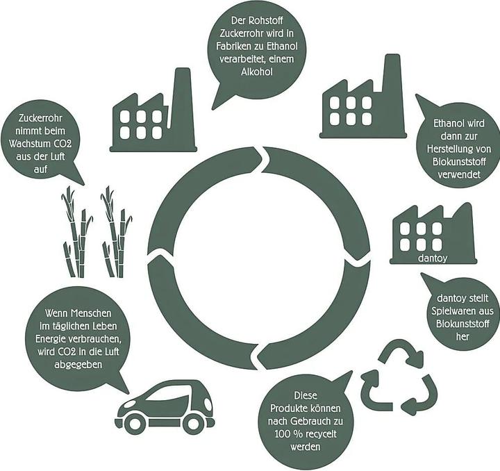 Image du produit dantoy Ensemble de services d'alimentation biologique