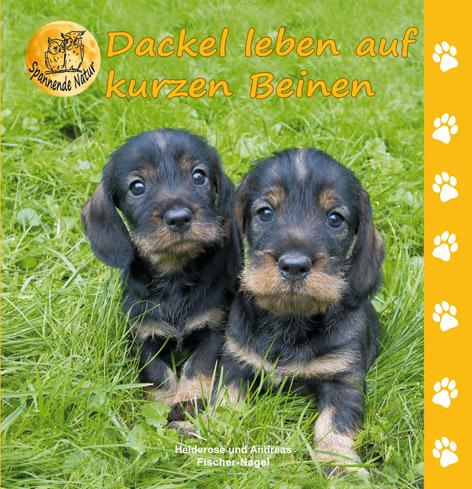 Actual product image Dackel leben auf kurzen Beinen (German, Andreas Fisher-Nagel, 2016)