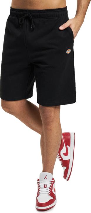 Actual product image Dickies Mapleton Shorts - 121655 (M)