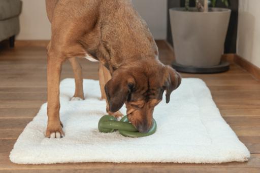 Produktbild Beeztees Sumo Team (Kauspielzeug Hund)