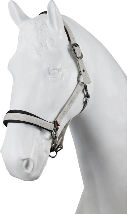 Actual product image B Vertigo High Altitude