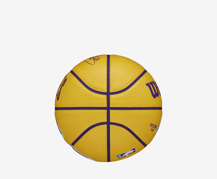 Produktbild Wilson Nba Player Icon Mini Bskt Lebron (3)