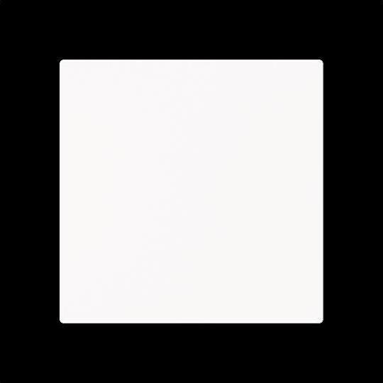 Produktbild Busch-Jaeger Zentralscheibe