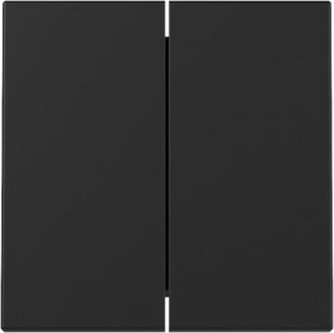 Gira Wippe 2f System 55 Schwarz 3295005 m