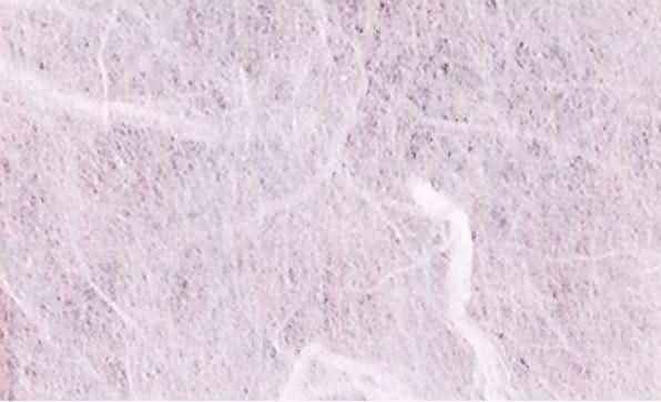 Produktbild Magni Strohseide Lavendel 1,50m X 0,70m Pulsar (25 g/m², 1 x)