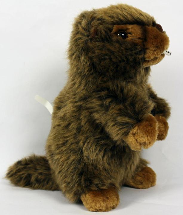 Produktbild Uniring Plüsch Murmeltier (17 cm)