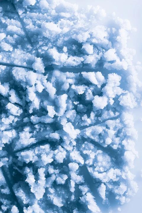 Image du produit Collistar Exfoliant Talasso, Exfoliant revitalisant. Sels (700 ml)