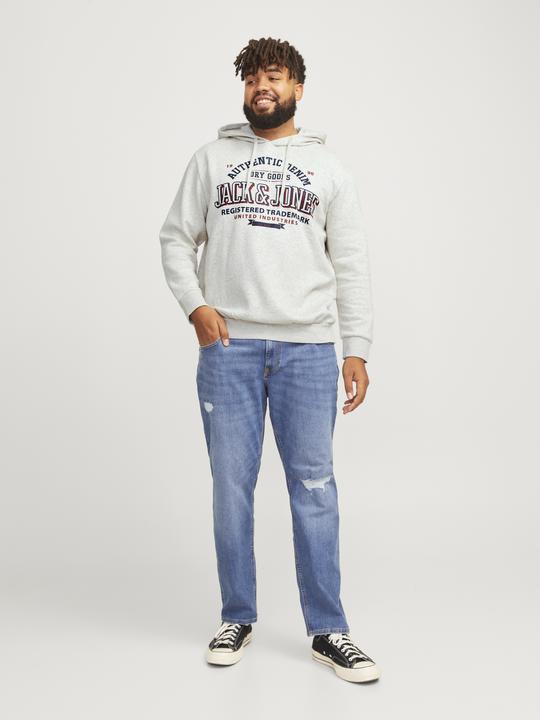 Produktbild Jack & Jones JJELOGO SWEAT HOOD 2 COL 24/25 NOOS PLS (7XL)