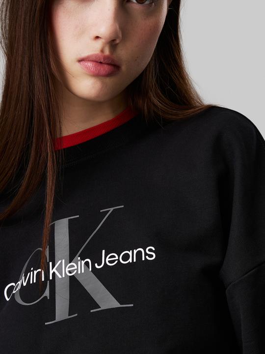 Actual product image Calvin Klein Jeans Ls Monologo French Terry Rlxd Cr (L)