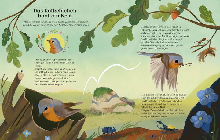 Produktbild National Geographic Kleine Geschichten aus der Natur (Deutsch, Altea Villa, Francesca Sudano, 2025)