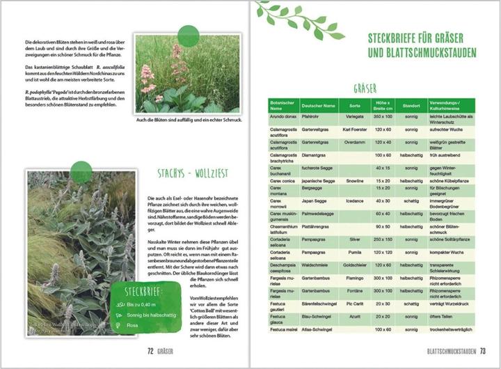 Produktbild MDR Garten - Gräser (Deutsch, Horst Schöne, 2018)