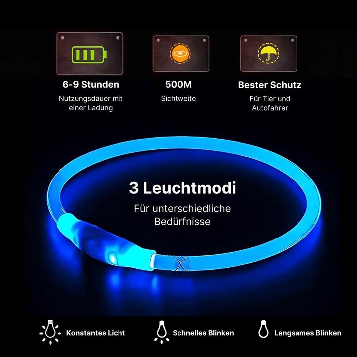 Actual product image Hermex LED safety dog collar Dog collar Light-up collar Tube collar (Dog, General)