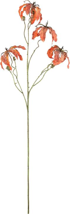 Immagine prodotto EGLO Semporna (920 cm)