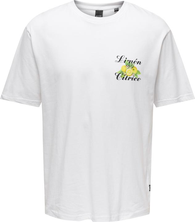 Immagine prodotto Only & Sons Onskeane Rlx Ss Print Tee Noos (S)