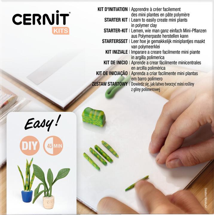 Actual product image Cernit Starter-Kit, kleine Pflanzen