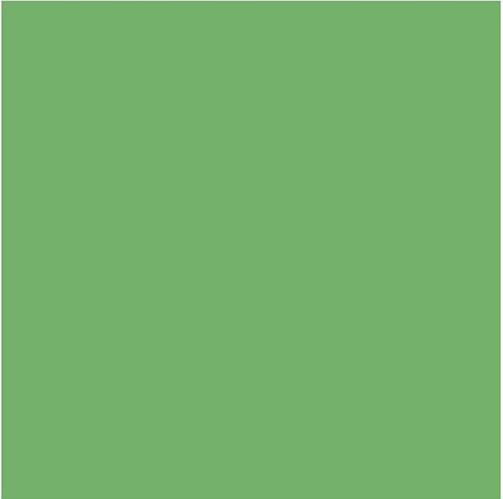 Image du produit Creativ Company Tissu 145 cm x 1000 cm, vert
