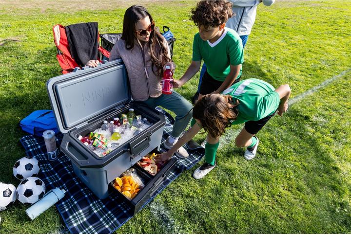 Actual product image Ninja FrostVault FB151EUGY (47 l)