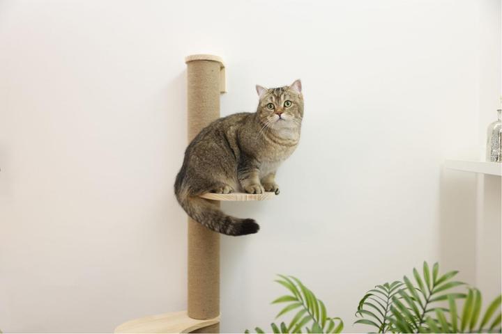 Image du produit Kerbl Colonne griffoir Timber pour chats (127 cm, Marron clair)