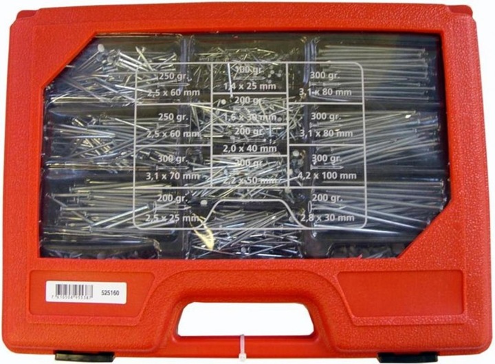 BestaPac Nagelkoffer Set (1 Stück, 100 mm)