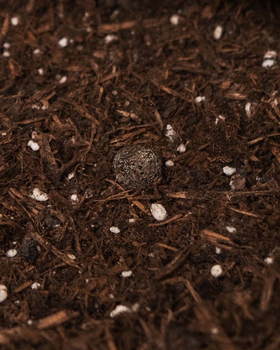 Actual product image feey Earth (10 l, Soil without peat)