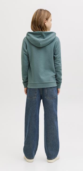 Produktbild Jack & Jones Jcofusion Graphic Sweat Hood Sn Jnr (152)