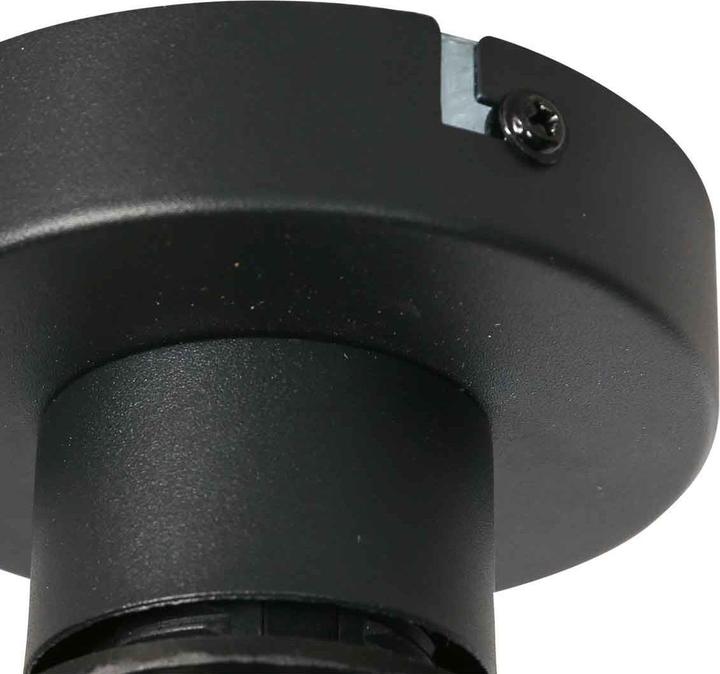 Produktbild Steinhauer Deckenleuchte Bloeba (E27)