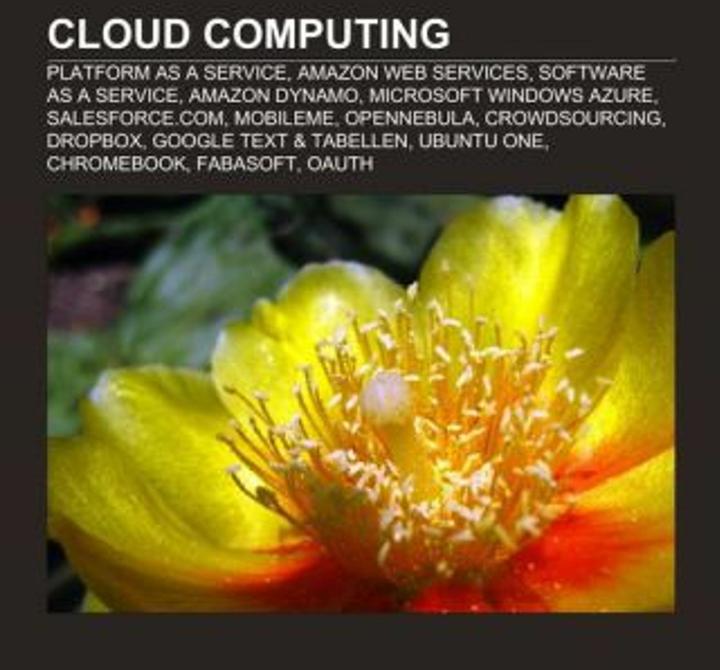 Produktbild Cloud Computing (Deutsch, 2011)